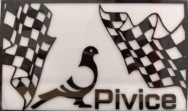 Pivice Devices - دستگاه های پیوایس